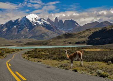 Патагония, которая меняет: как стать волонтером в Torres del Paine
