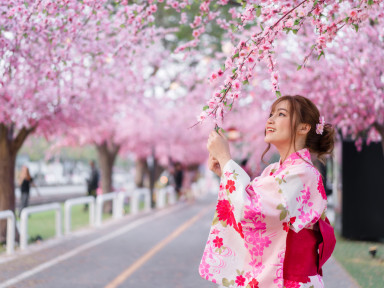 caspitours-japan-tour