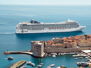 MSC13013612